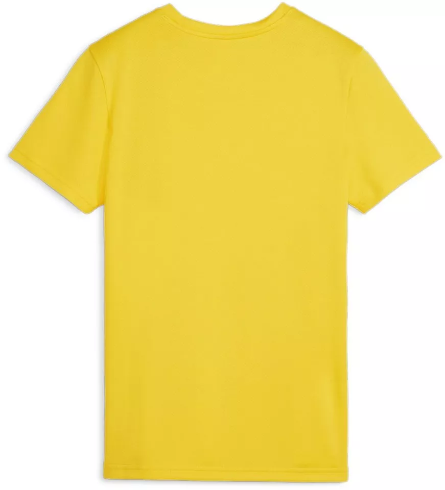 Dres Puma teamGOAL Jersey Wmn