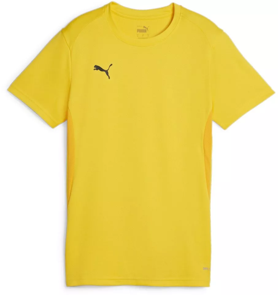 Dres Puma teamGOAL Jersey Wmn