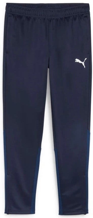 Spodnie Puma teamGOAL Training Pant