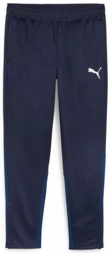 Spodnie Puma teamGOAL Training Pant