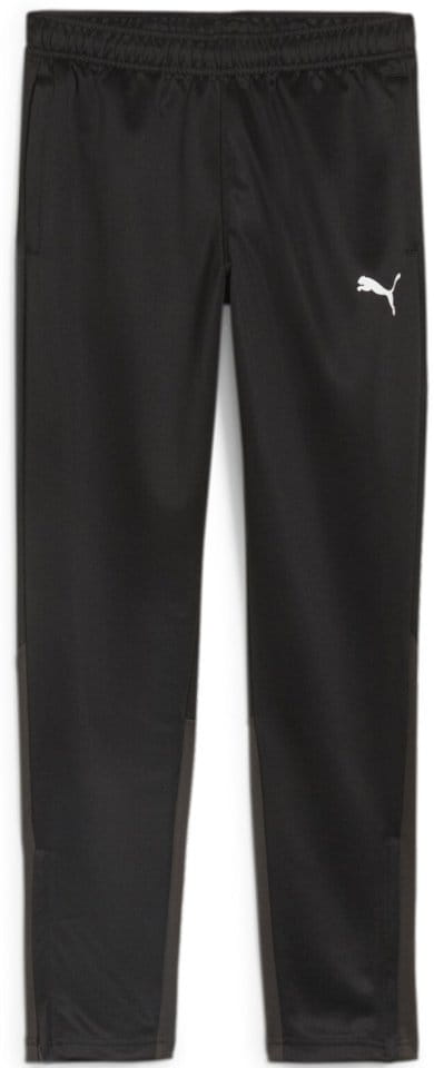 Byxor Puma teamGOAL Training Pant Jr