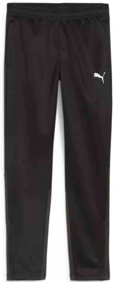 Byxor Puma teamGOAL Training Pant Jr