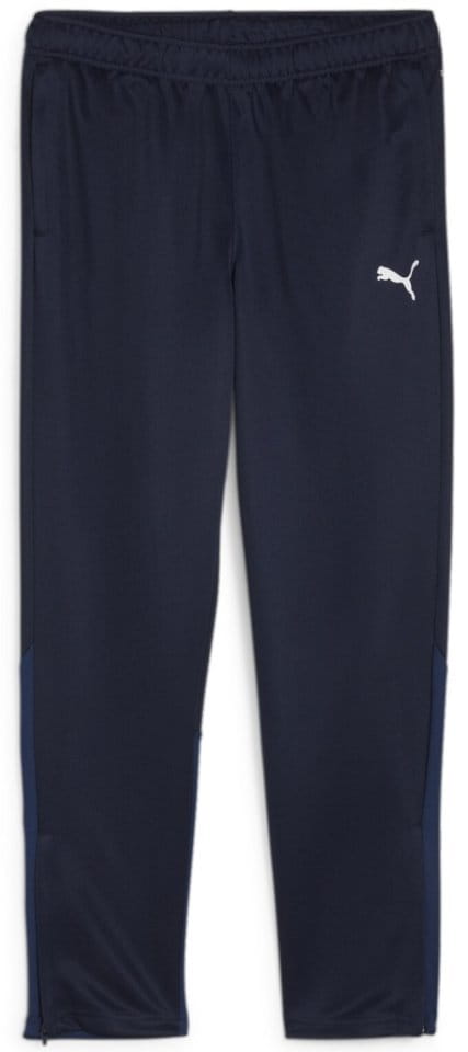 Παντελόνι Puma teamGOAL Training Pant Wmn