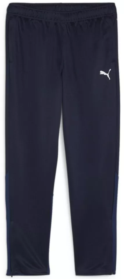 Παντελόνι Puma teamGOAL Training Pant Wmn