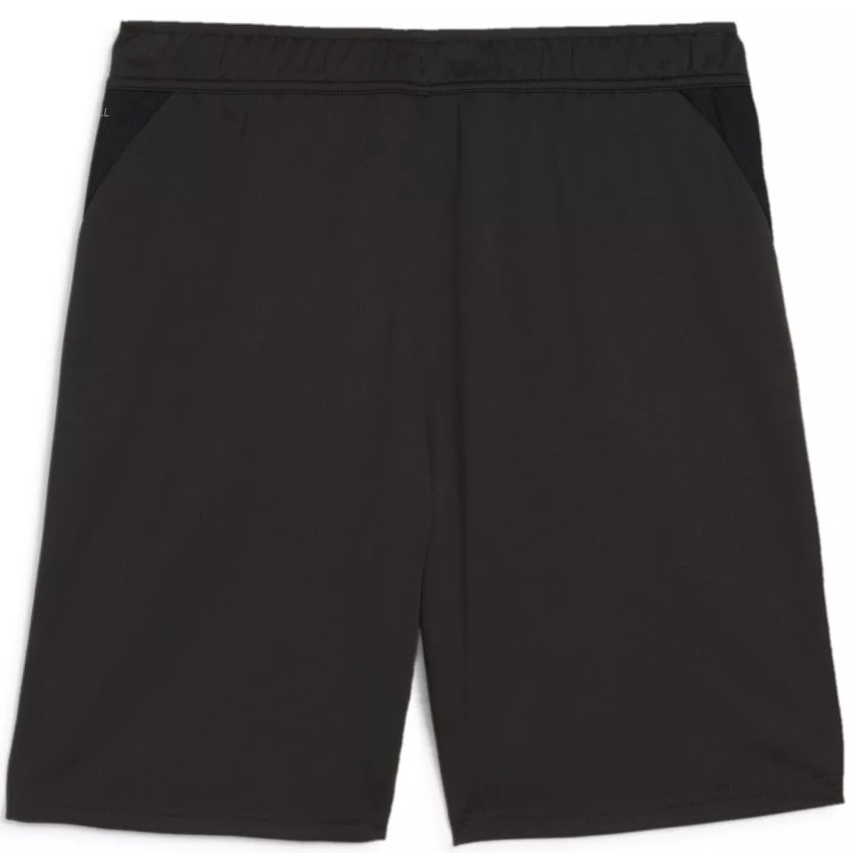 Shortsit Puma teamGOAL Training Short