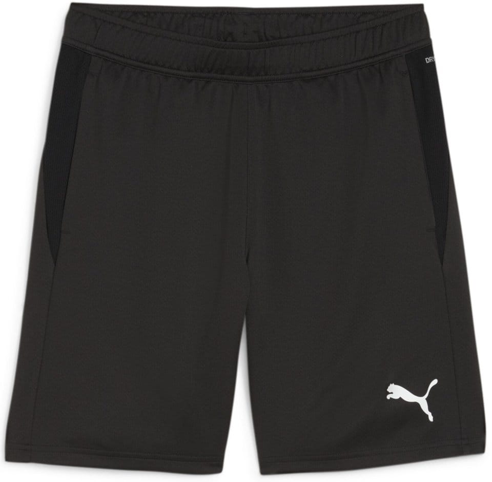 Shortsit Puma teamGOAL Training Short