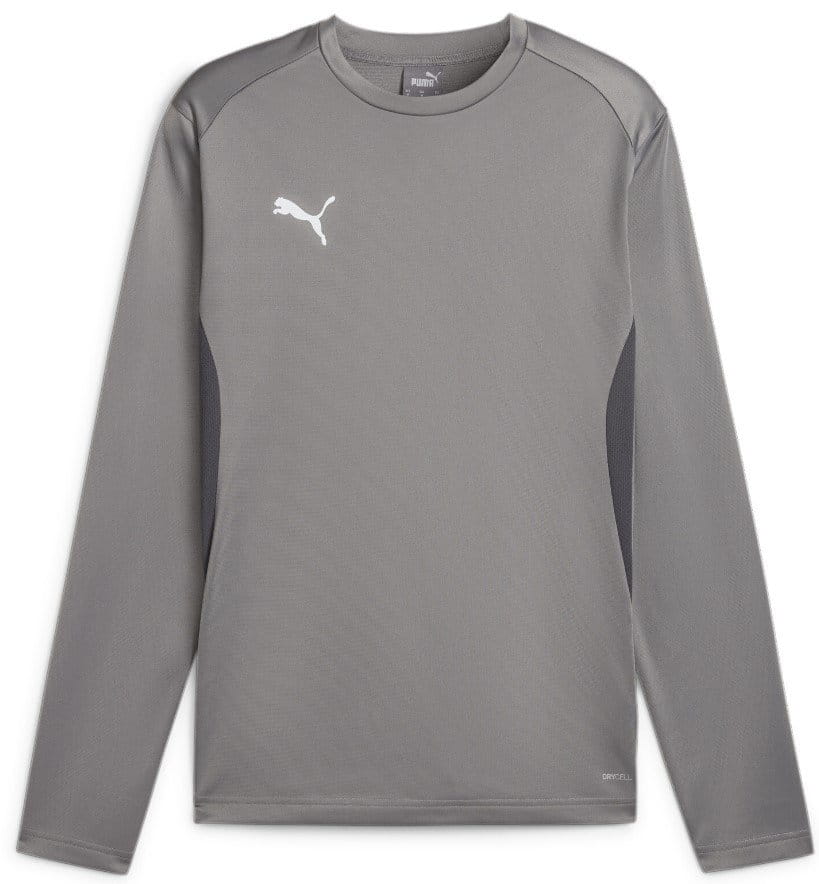 Mikina Puma teamGOAL Training Sweatshirt