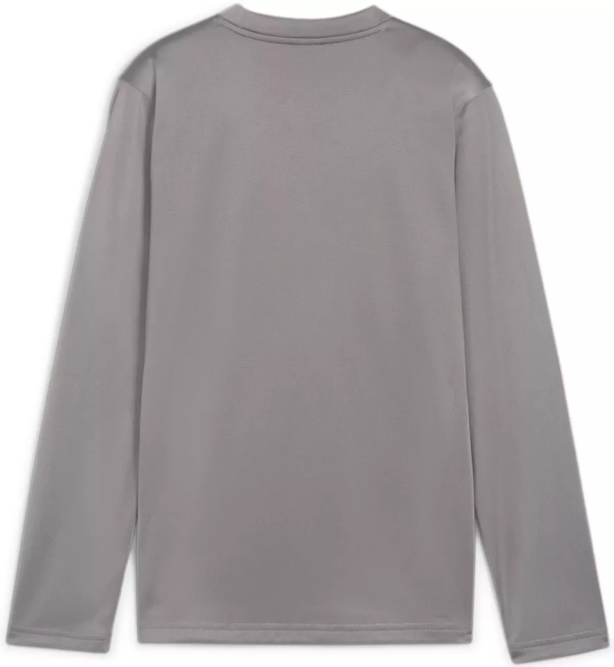 Sweatshirt Puma teamGOAL Training Sweat Jr