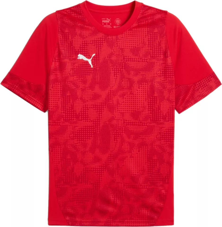 Puma teamCUP Training Jersey Póló