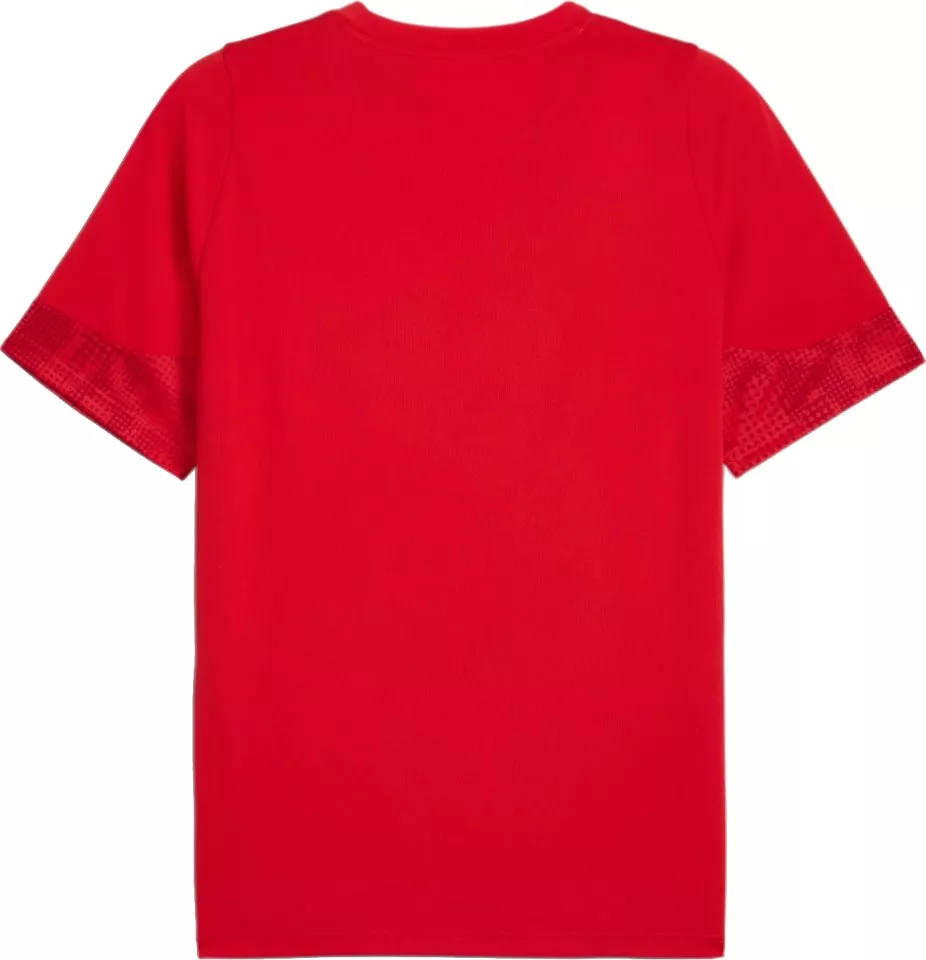 Puma teamCUP Training Jersey Póló