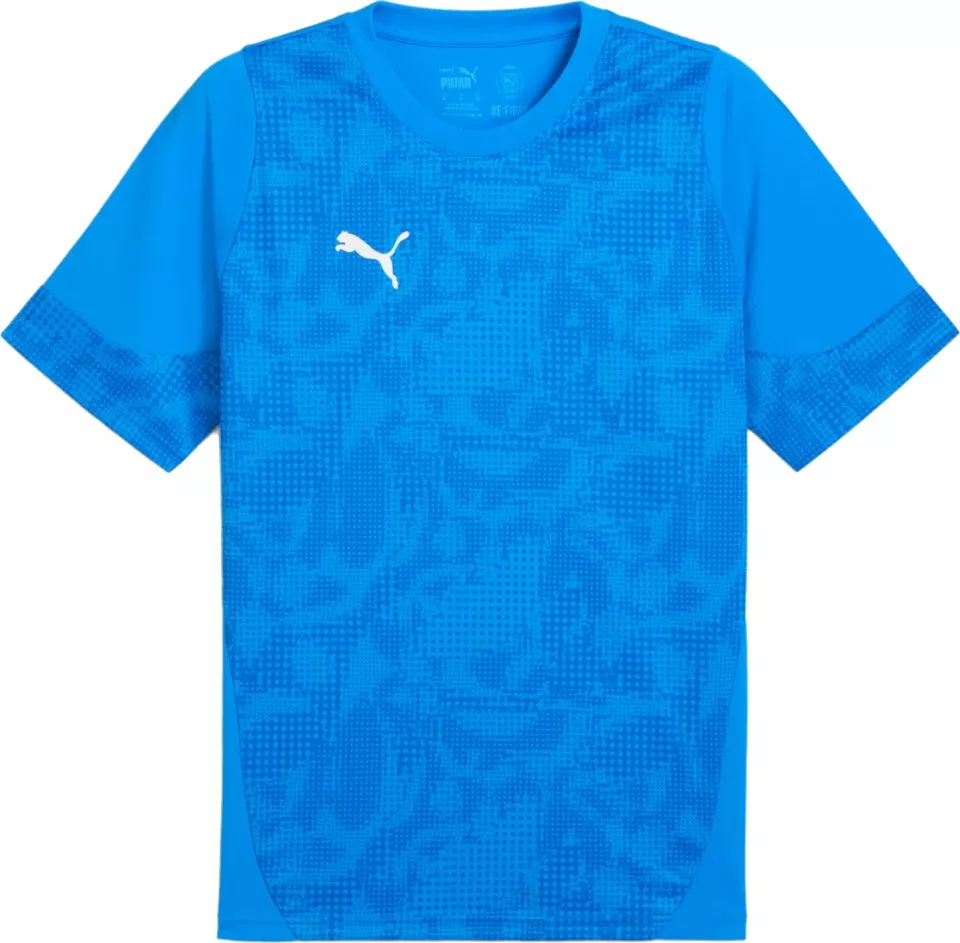 Tröja Puma teamCUP Training Jersey
