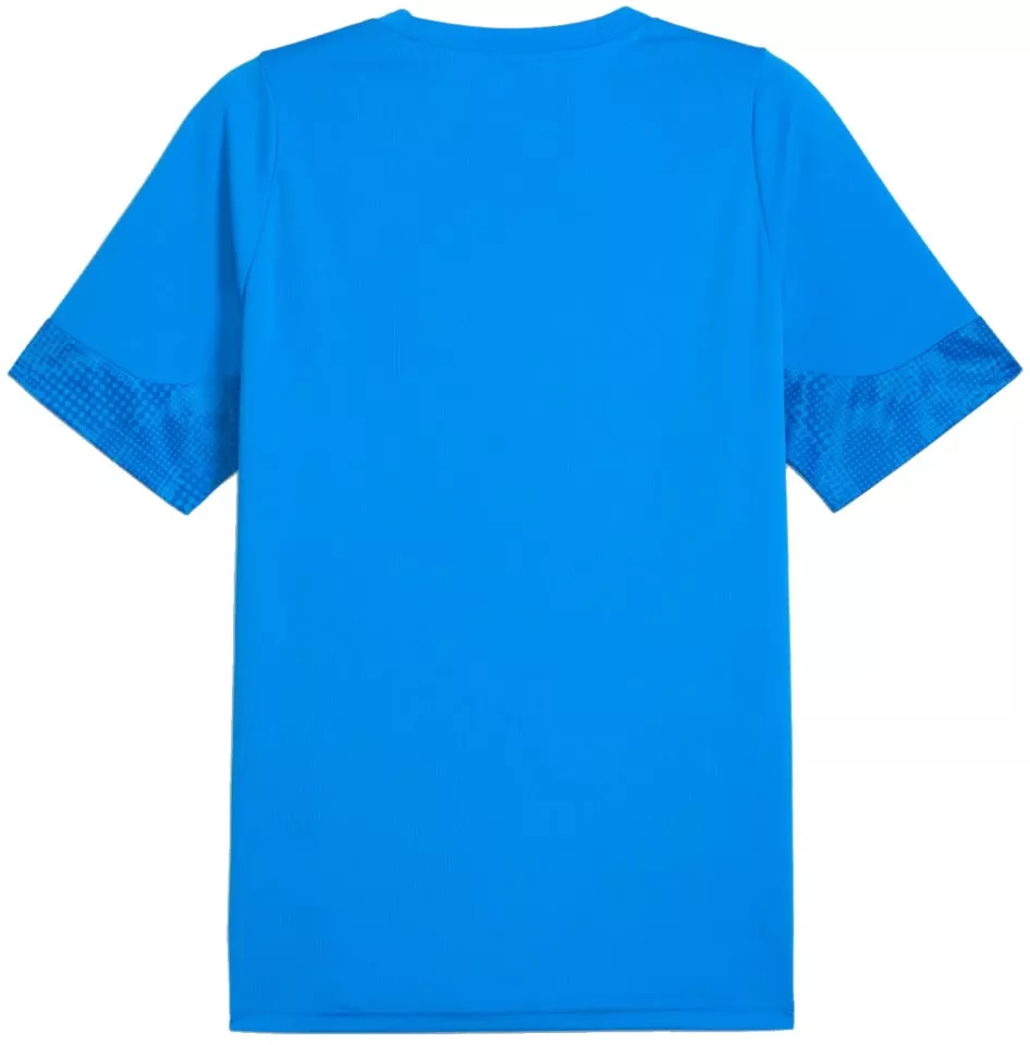 Tröja Puma teamCUP Training Jersey