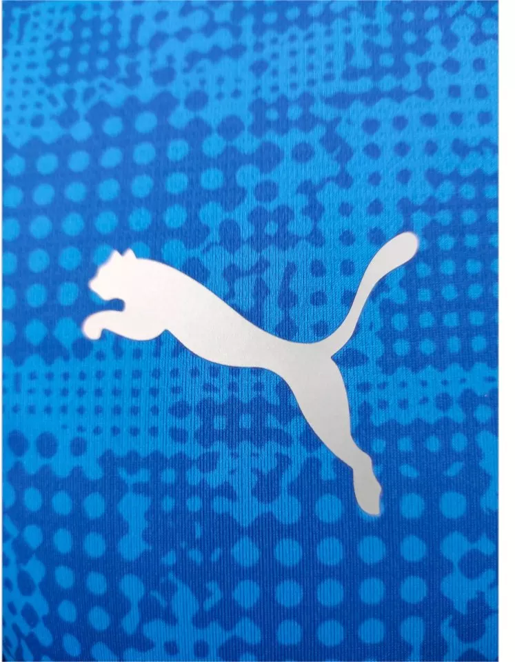 Tröja Puma teamCUP Training Jersey