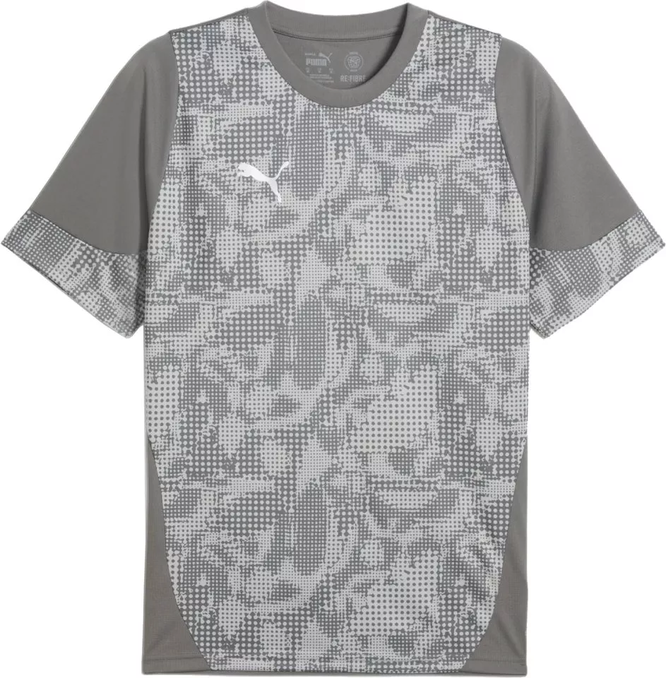 Риза Puma teamCUP Training Jersey