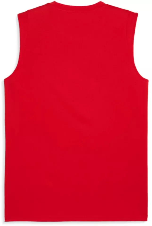 Tröja Puma TeamCUP Training Longsleeve Jersey