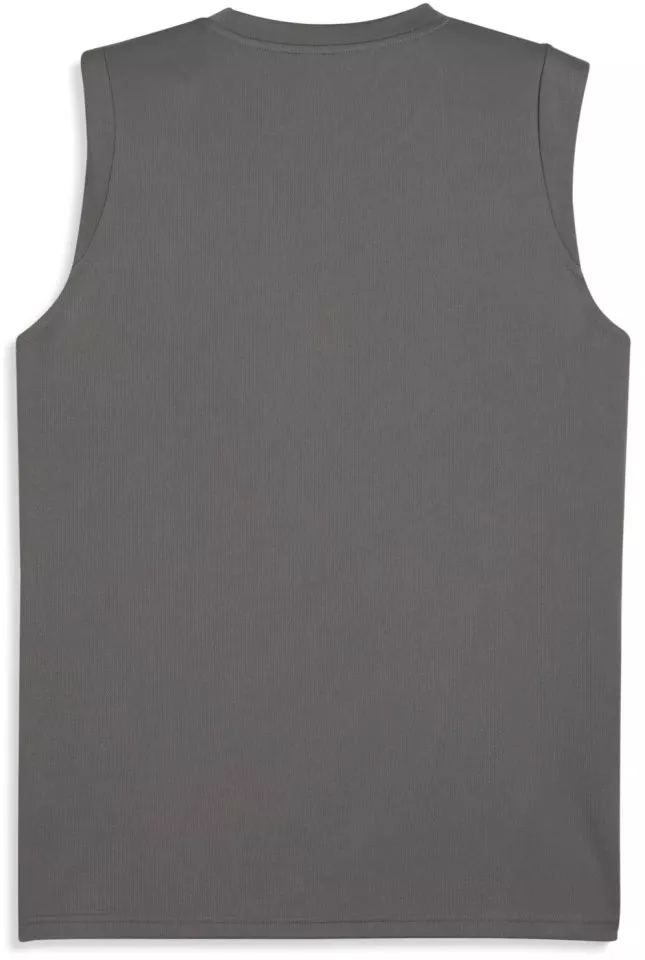 Tröja Puma TeamCUP Training Longsleeve Jersey
