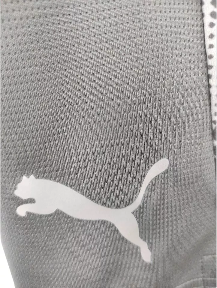 Σορτς Puma teamCUP Training Shorts