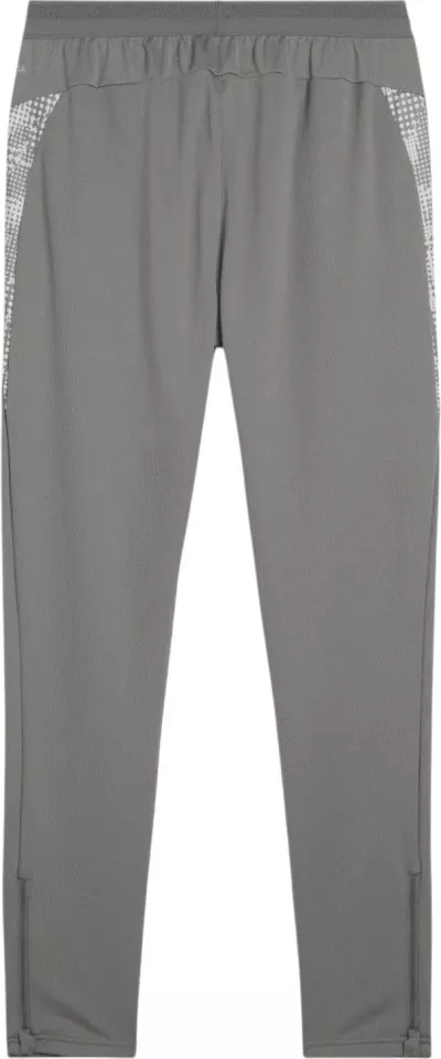 Hlače Puma teamCUP Training Pants
