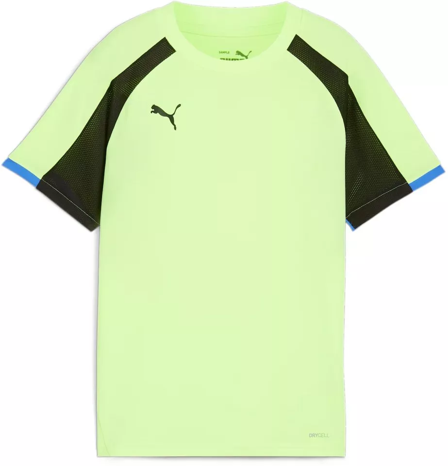 Bluza Puma IndividualLIGA Jersey Kids