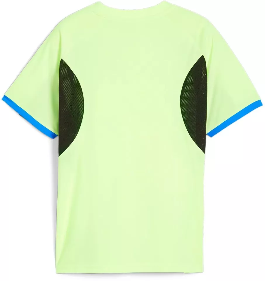Bluza Puma IndividualLIGA Jersey Kids