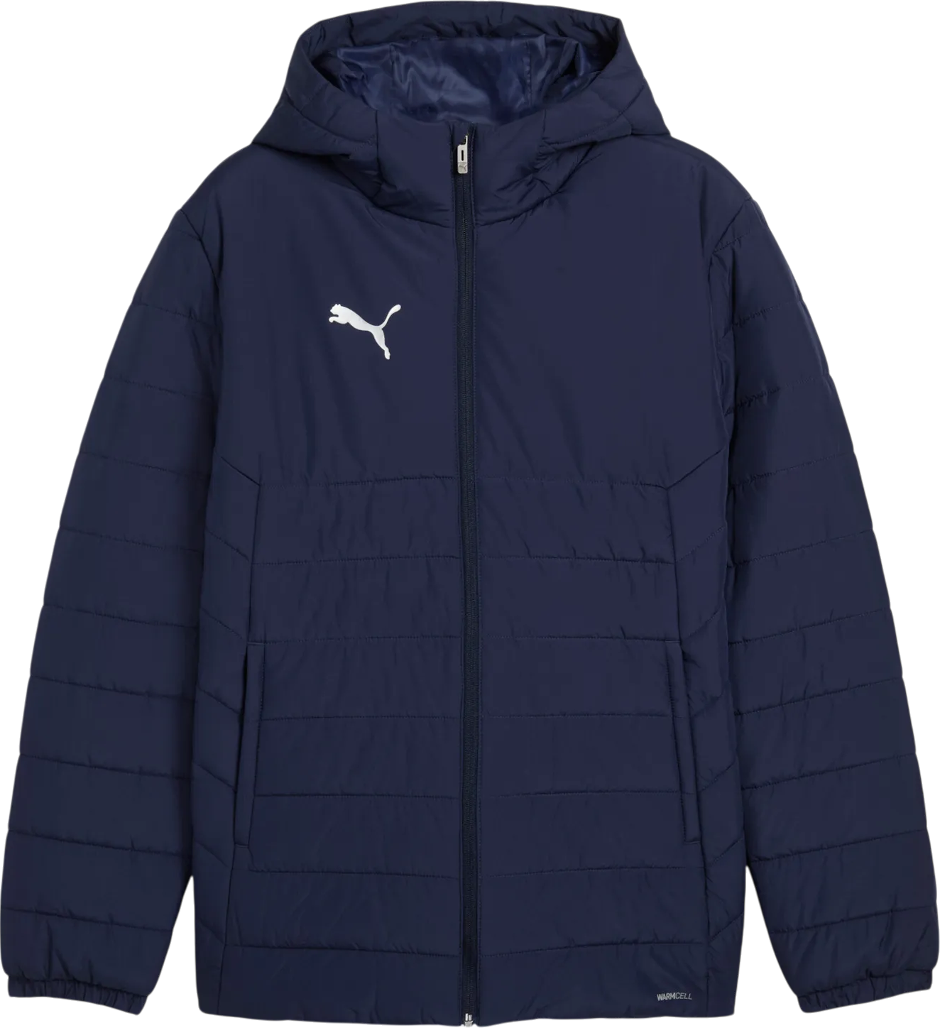 Pánská sportovní bunda s kapucí Puma Team Additions