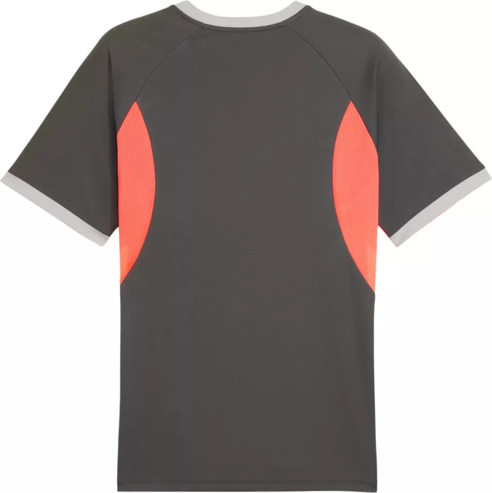 Dres Puma Individualliga Graphic Jersey