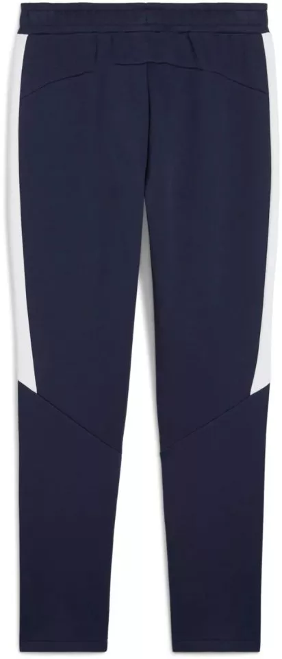 Hlače Puma teamEVOSTRIPE Pants