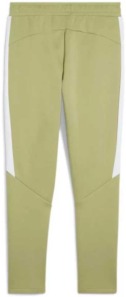 Παντελόνι Puma teamEVOSTRIPE Pants