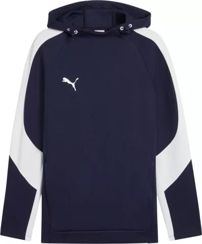 TeamEvostripe Hoody