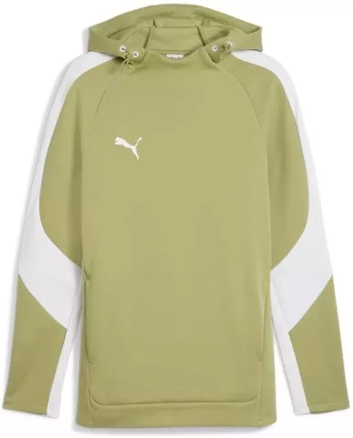 teamEvostripe Hoody