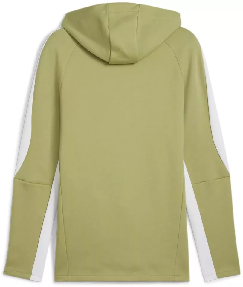 Pánská mikina s kapucí Puma teamEvostripe