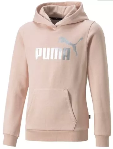 ESS+ Logo Hoodie FL G