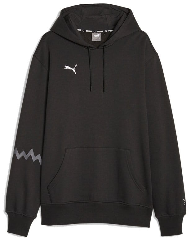 Sudadera con capucha Puma Hoops Team