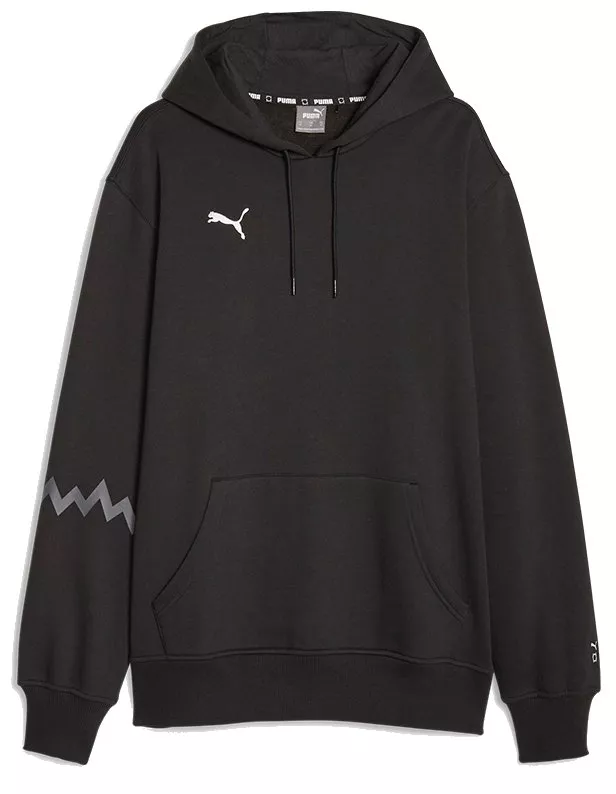 Sudadera con capucha Puma Hoops Team