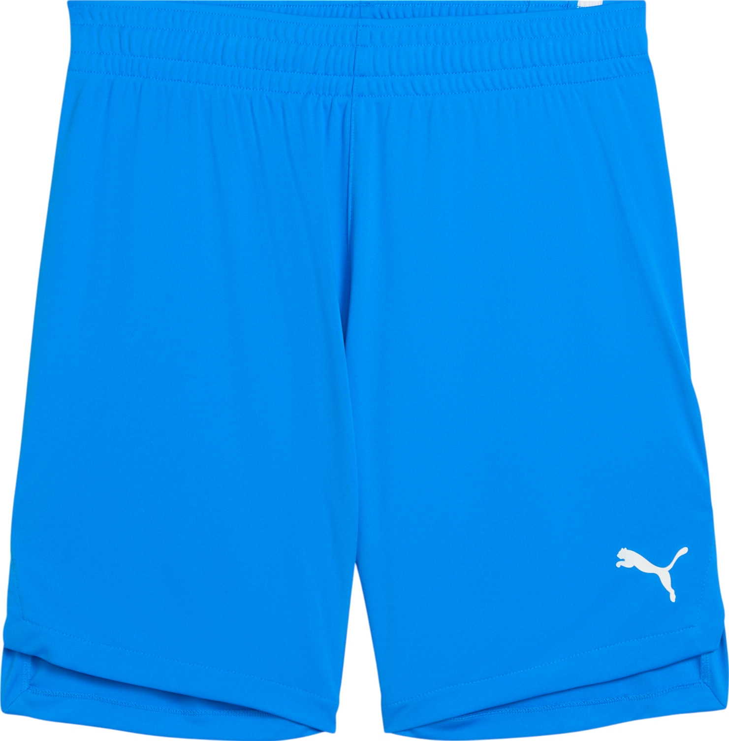  Teamjaws Starter Short