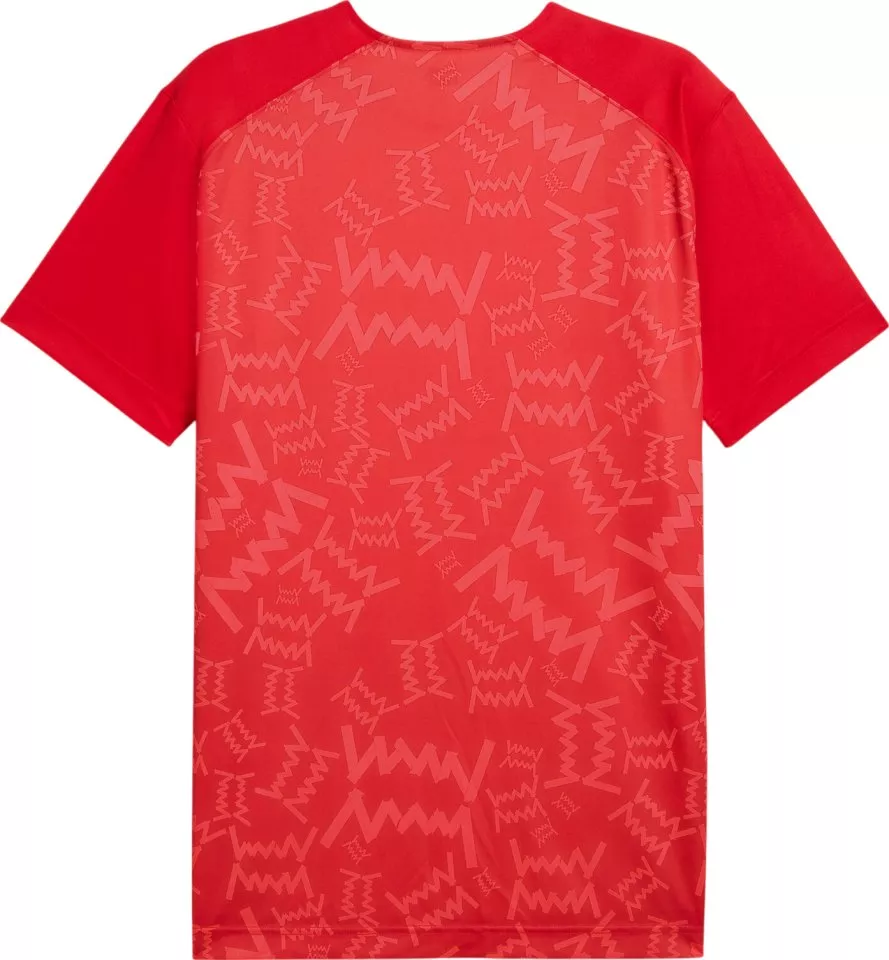 Tričko Puma Teamjaws Graphic Ss Shooting Shirt