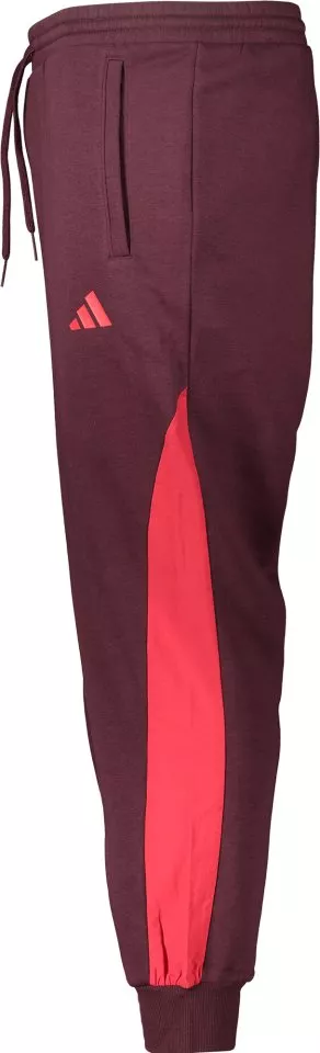 Παντελόνι adidas 1. FC Nürnberg