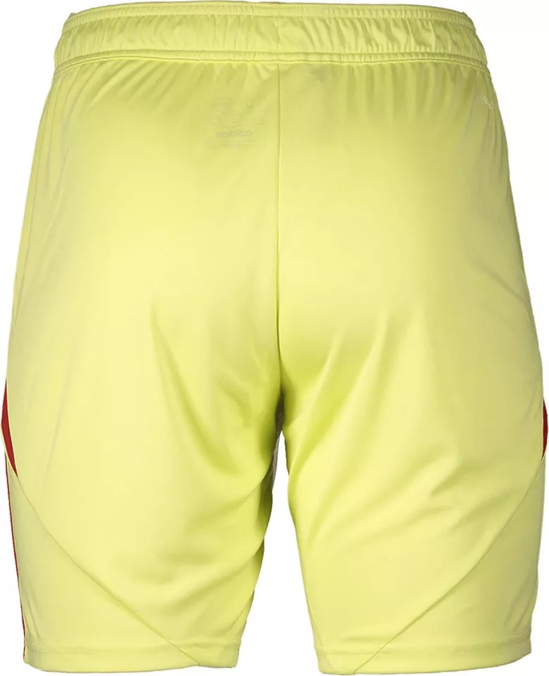 Sorturi adidas 1. FC Nürnberg Goalkeeper Shorts