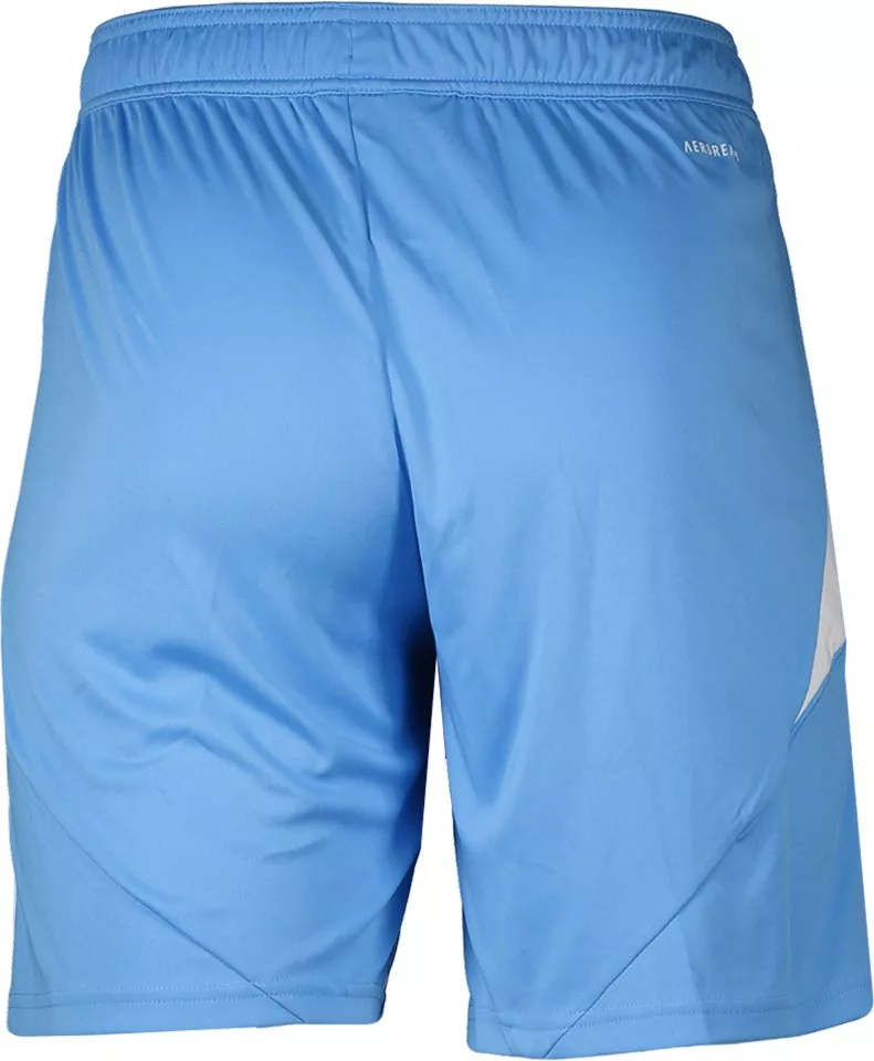 Sorturi adidas 1. FC Nürnberg Goalkeeper Shorts