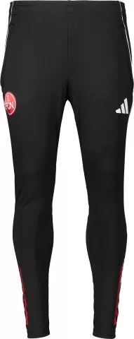 1. FC Nürnberg Training Pants