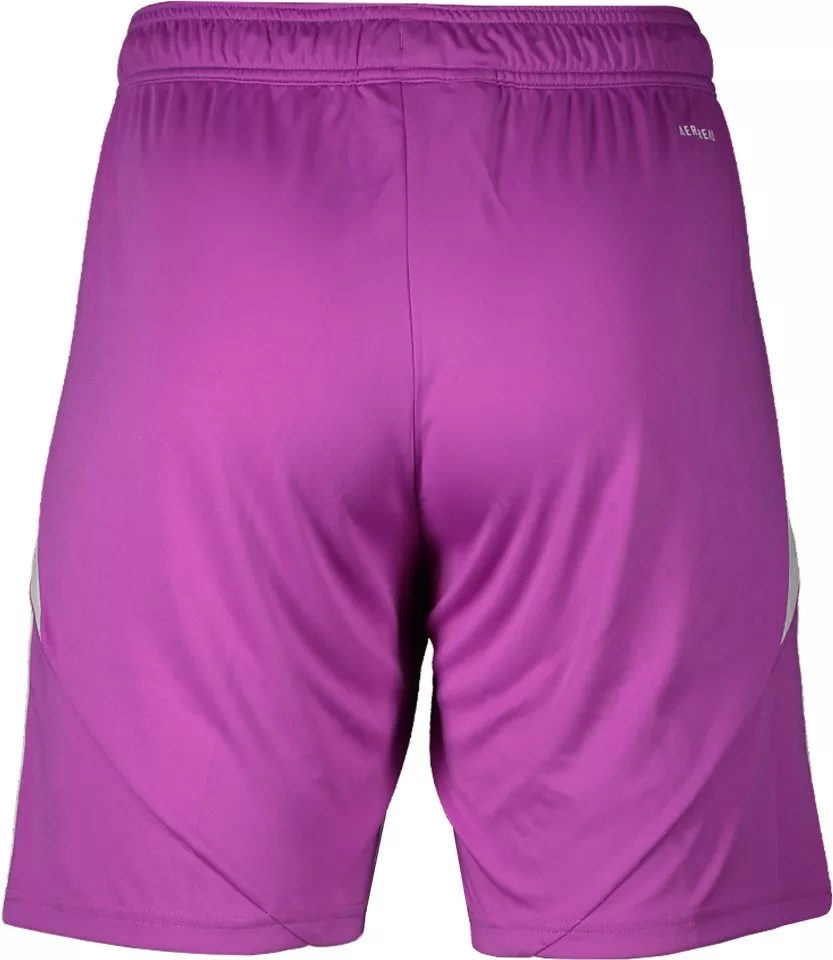 Sorturi adidas Hamburger SV Goalkeeper Shorts 2025/26