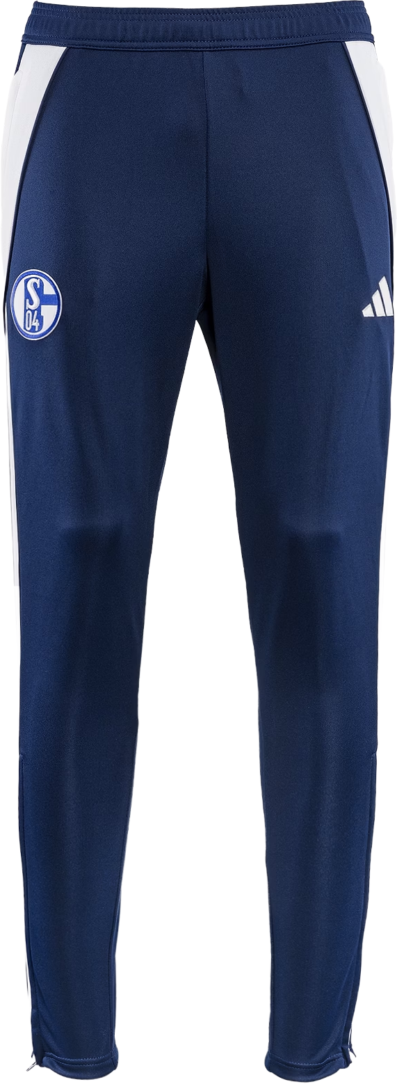 Hlače adidas FC Schalke 04 Essentials Sweatpants Kids