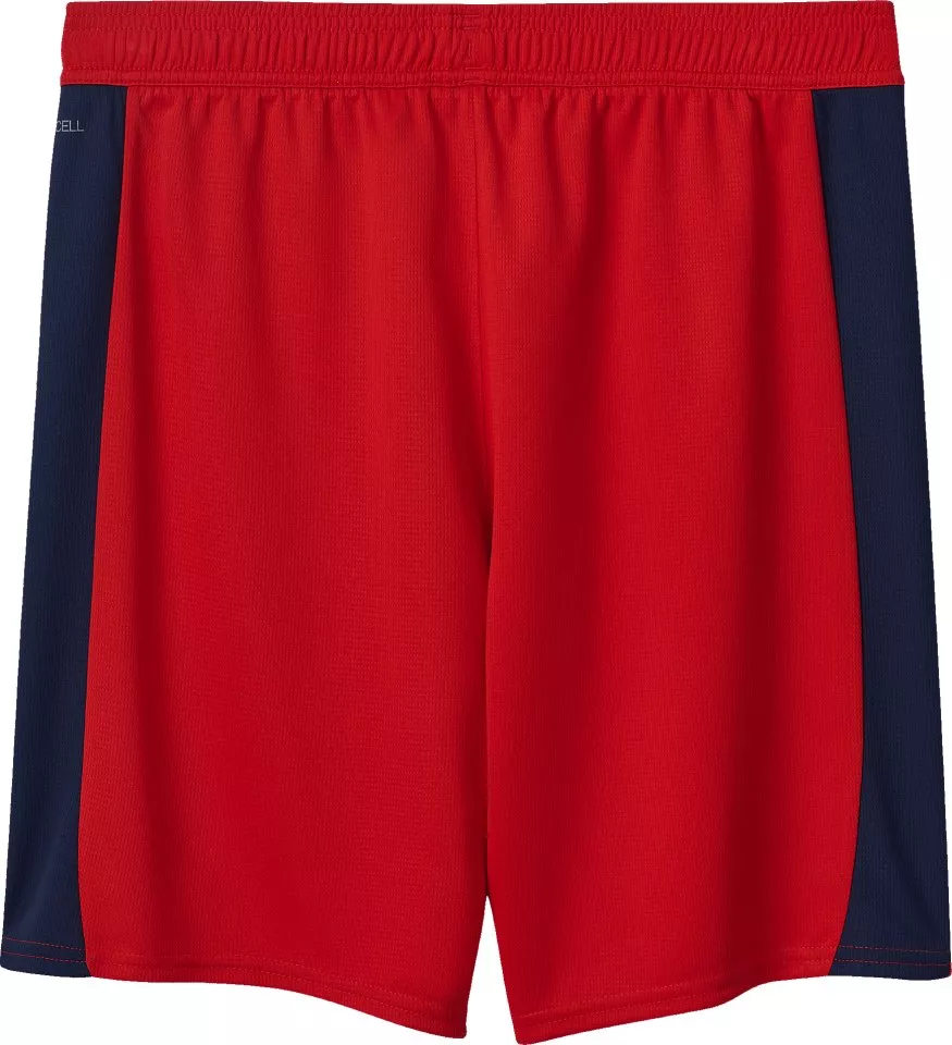 Kratke hlače Puma SK Rapid Wien Away Short 2025/26