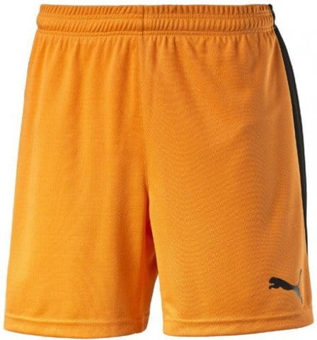 Pitch Shorts WithInnerbrief