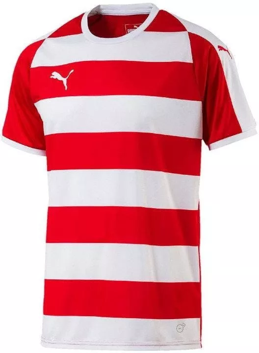Tröja Puma liga hooped