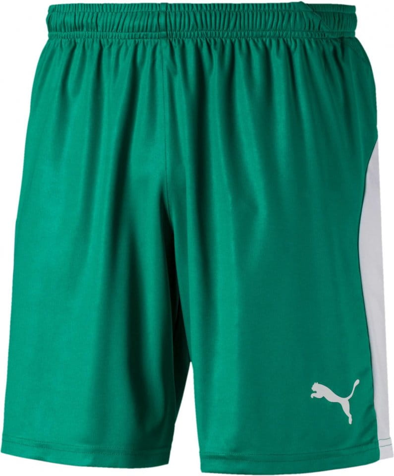 Puma LIGA Core shorts