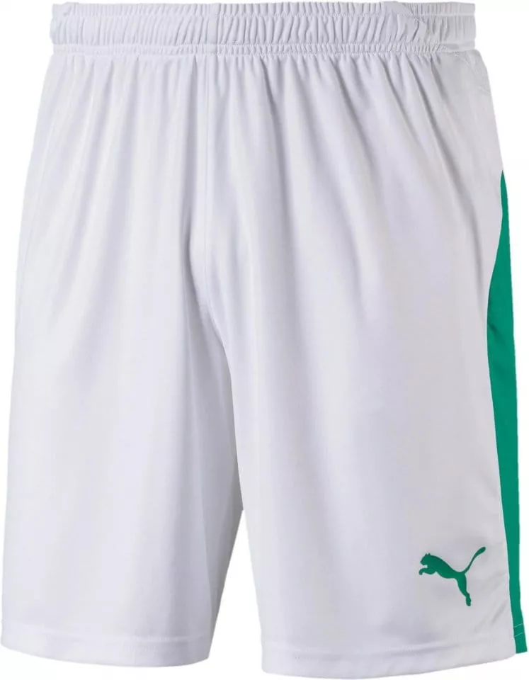Szorty Puma LIGA Core shorts