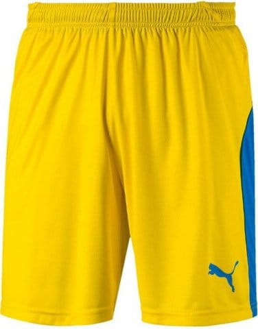 LIGA Core shorts