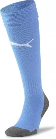 Team LIGA Socks CORE