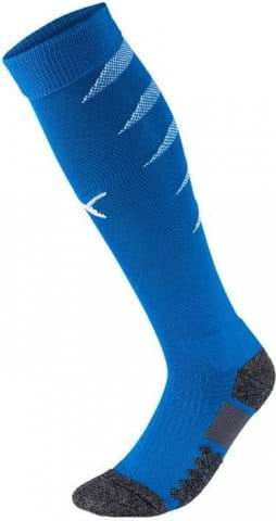 Team FINAL Socks